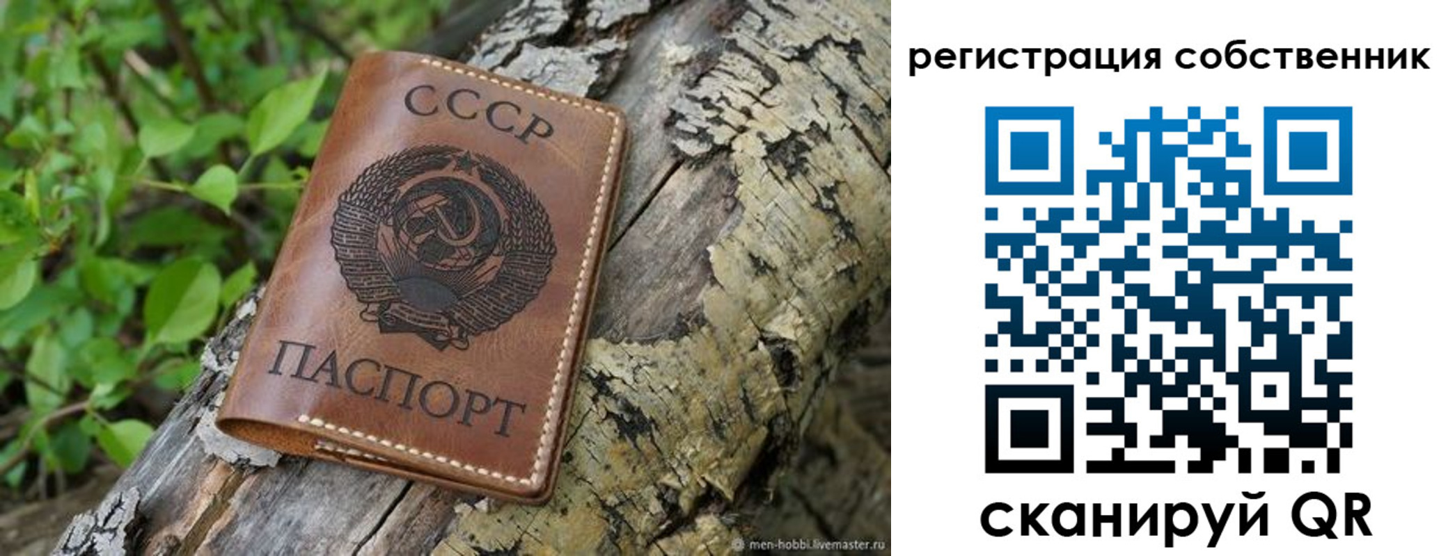 временная регистрация госуслуги в Славгороде